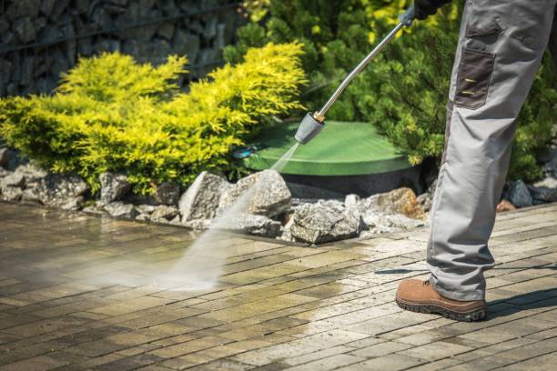 Best Boat and Dock Cleaning  in Pahokee, FL