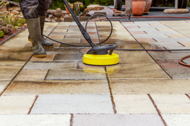 Best Dumpster Area Cleaning  in Pahokee, FL