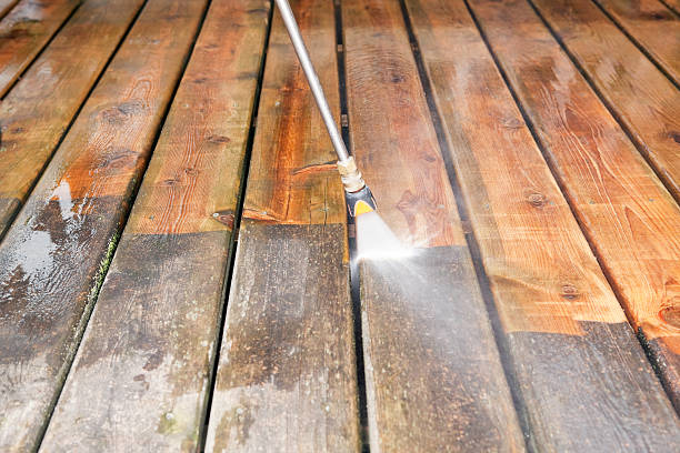 Best Patio and Deck Pressure Washing  in Pahokee, FL