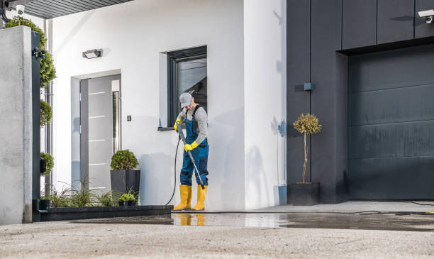 Best Driveway Pressure Washing  in Pahokee, FL